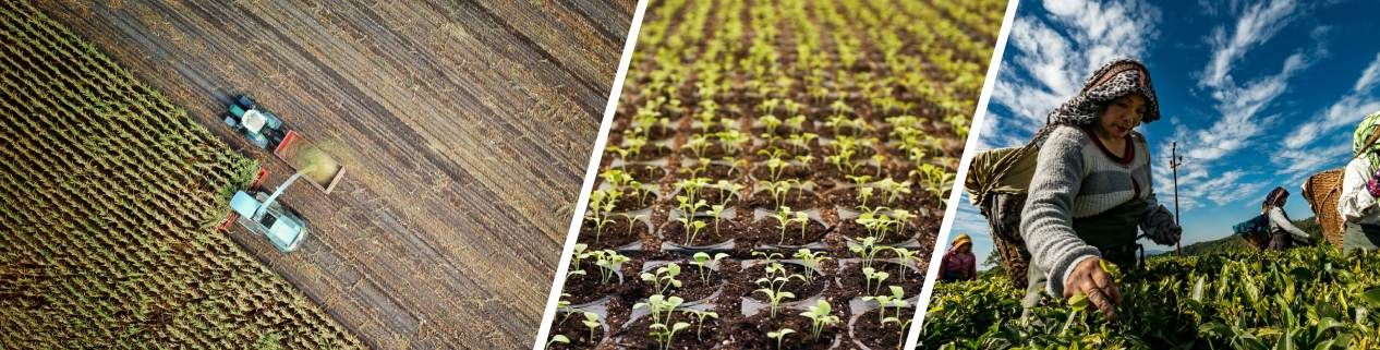 people working in agriculture 