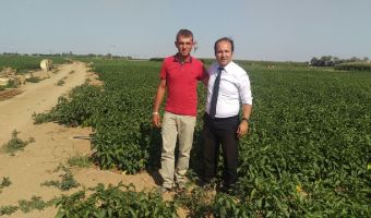 Rural Development